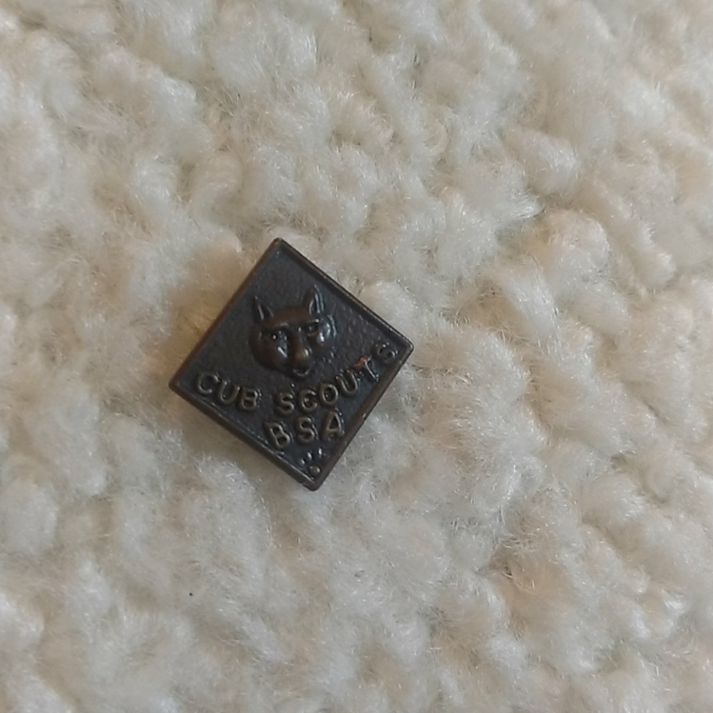 Cub scouts pin
